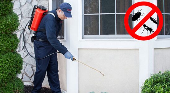 Yeşilyurt Pire İlaçlama böcek ilaçlama ve haşere kontrolü — ilaclama-tr.com